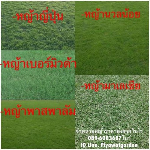 My Image 9