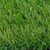 หญ้าเทียมปูพื้น  ใบหญ้าเล็ก ใบหญ้าสูง 3.5 cm. คุณภาพสูง เกรดพรีเมียม ทนทาน